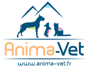 https://cabvetanima.fr/